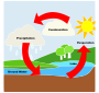 Water Cycle