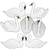 Seven Swans Picture