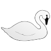 Cisne+_+swan Picture