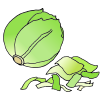 Lettuce
