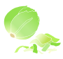 Lettuce