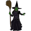 Wicked Witch Picture