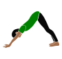 Downward Dog
