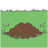 Molehill Picture