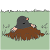 Molehill Picture