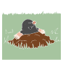 Molehill