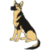 German Shepherd Picture