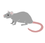 Rat Stencil