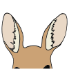 Kangaroo Ears