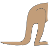 Kangaroo Tail
