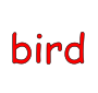 bird Picture