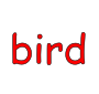 bird