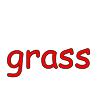 grass Picture