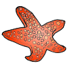 Starfish
