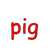 pig Picture