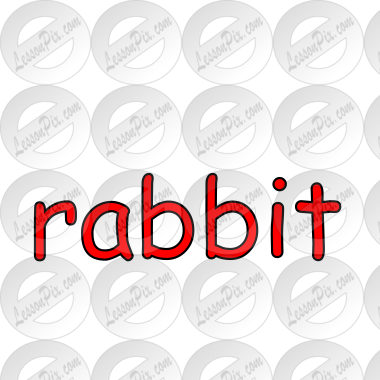 rabbit