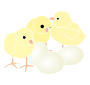 Chicks Stencil