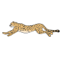 Cheetah Picture