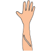 Scar