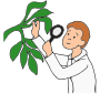 Botanist