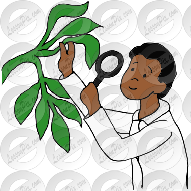 Botanist