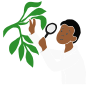 Botanist