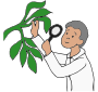 Botanist