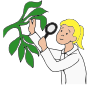 Botanist