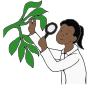 Botanist