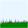 Grass