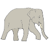 Elephant Picture