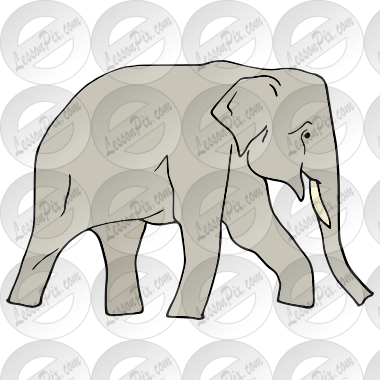 Elephant