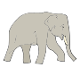 Elephant  Picture