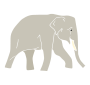 Elephant  Stencil