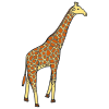 A+tall+Giraffe Picture