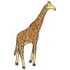 Giraffe Picture