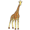 Giraffe Picture