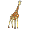 Where+do+giraffes+live_ Picture