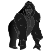 Gorilla Picture