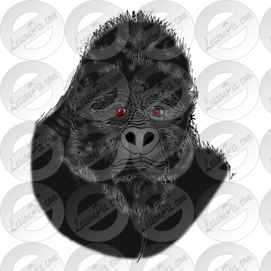 Gorilla