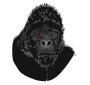Gorilla Picture