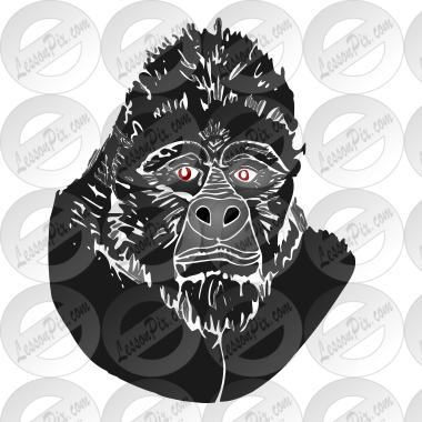 Gorilla