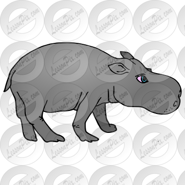 Hippo