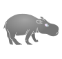 Hippo