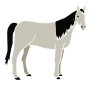 Horse Stencil