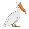 Pelican Picture