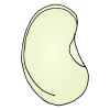 Seed