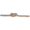 Knot