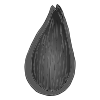 Seed