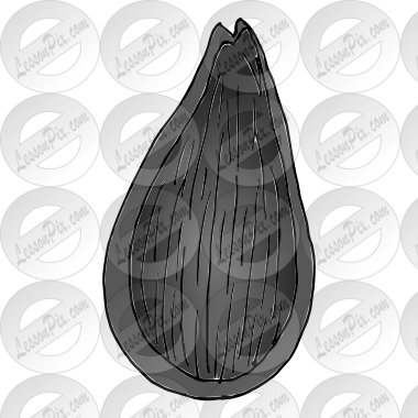 Seed